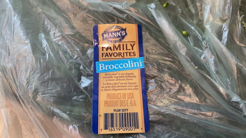 beefandbroccoli3