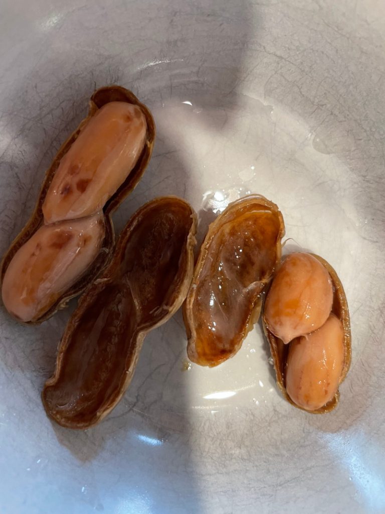Goobers - Boiled Peanuts boiledpeanuts