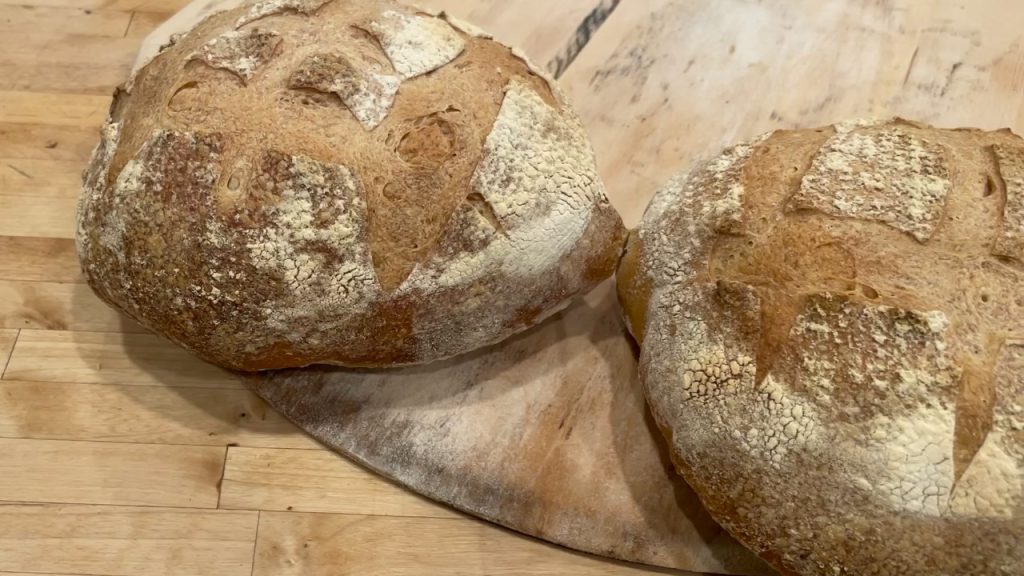 sourdough
